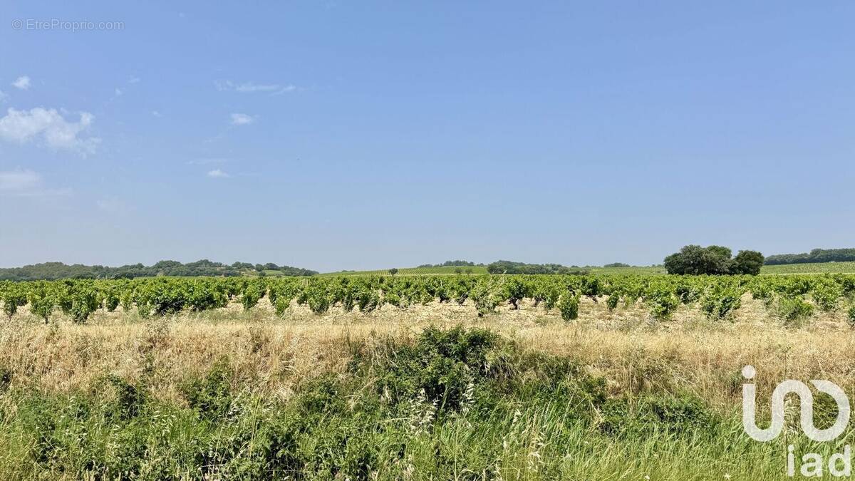 Photo 1 - Terrain à BEDARRIDES