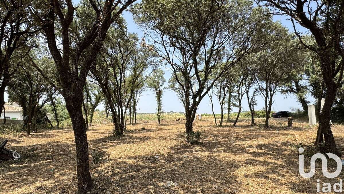 Photo 4 - Terrain à BEDARRIDES