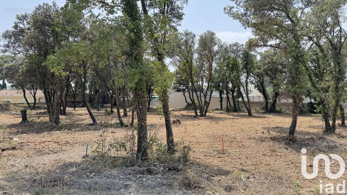 Photo 8 - Terrain à BEDARRIDES
