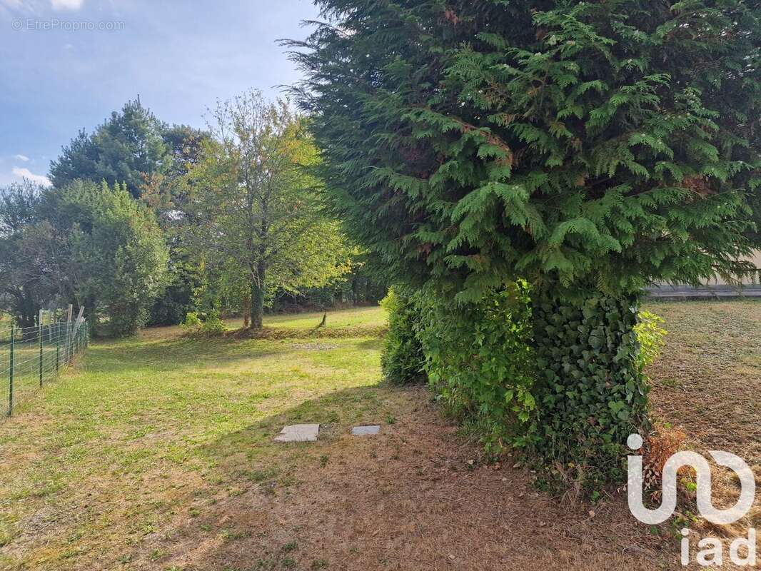 Photo 3 - Maison à SAINT-SAUD-LACOUSSIERE