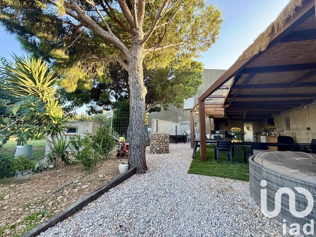 Photo 1 - Maison à SALSES-LE-CHATEAU