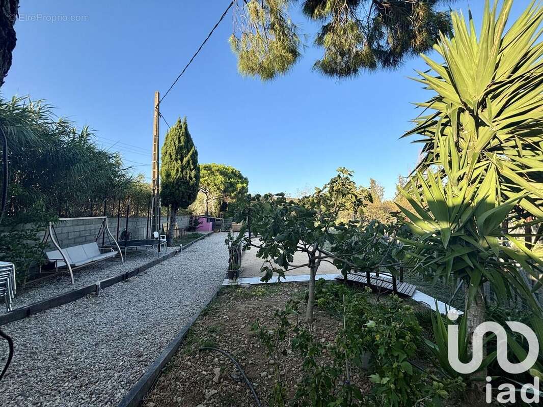 Photo 2 - Maison à SALSES-LE-CHATEAU