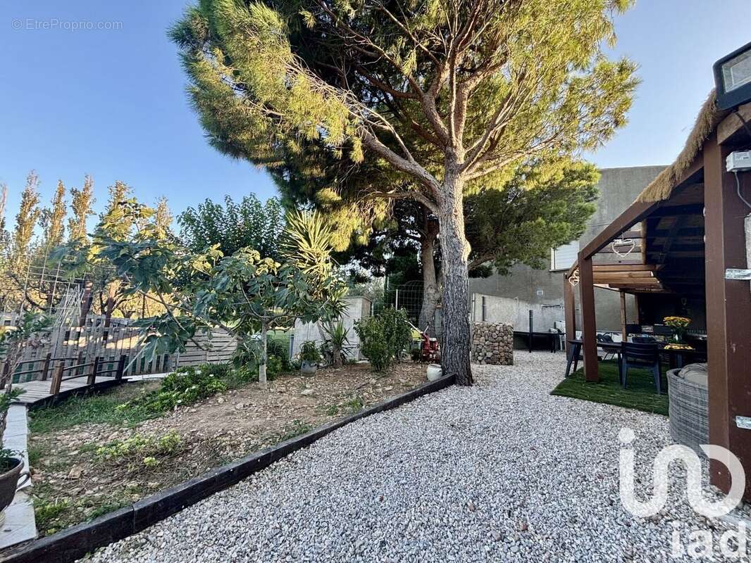 Photo 4 - Maison à SALSES-LE-CHATEAU