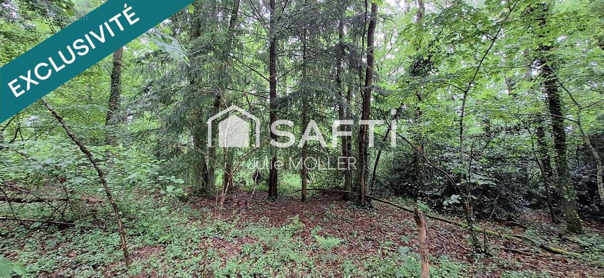 Photo 1 - Terrain à GUERET