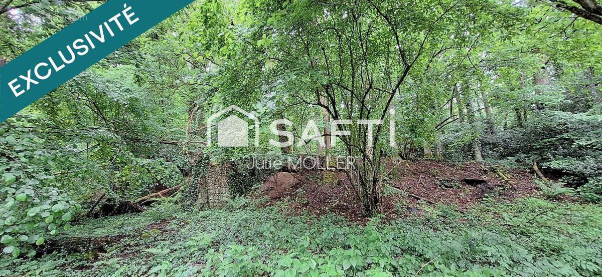 Photo 3 - Terrain à GUERET