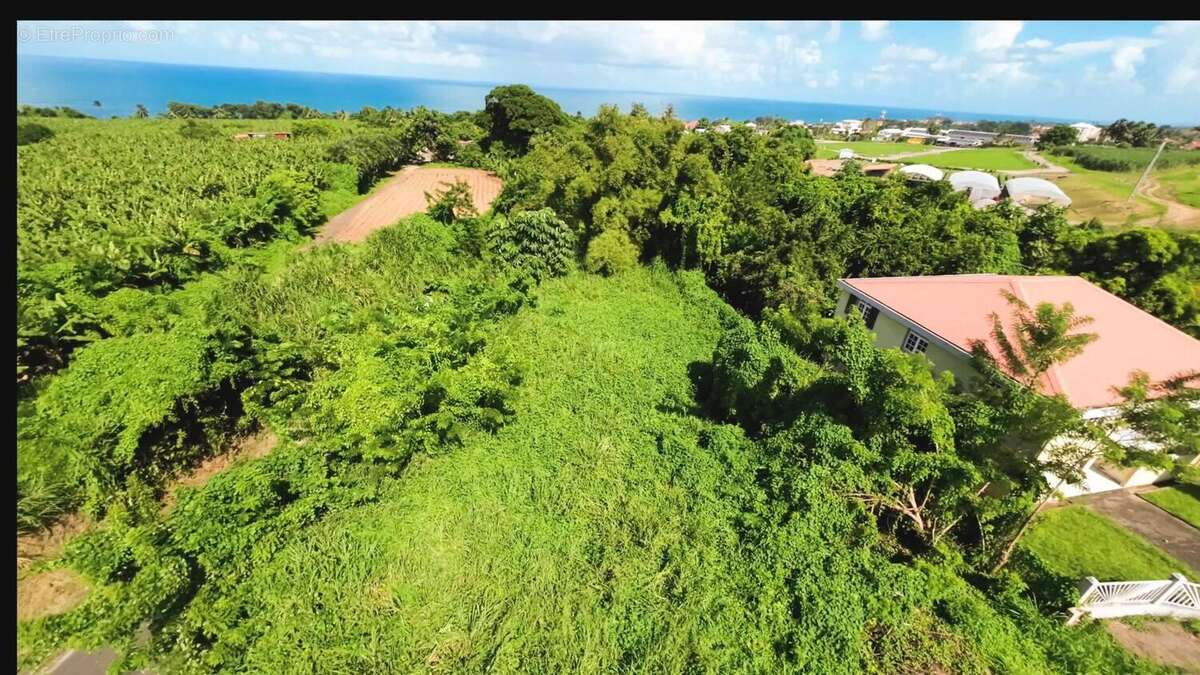 Photo 3 - Terrain à BASSE-POINTE