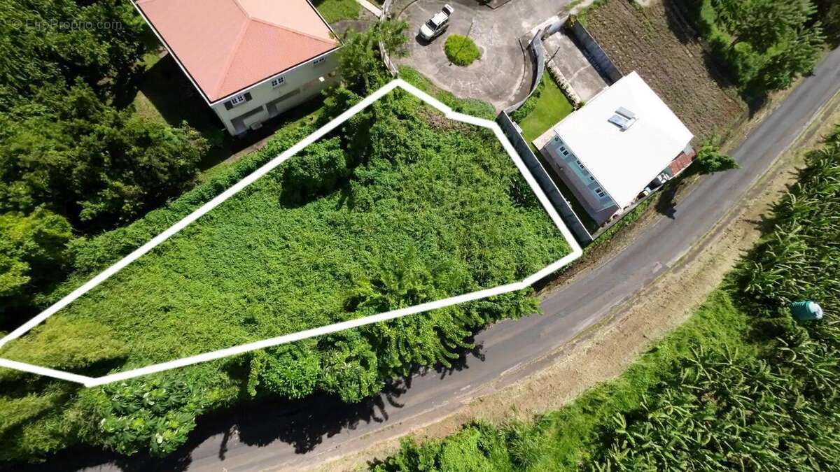 Photo 5 - Terrain à BASSE-POINTE