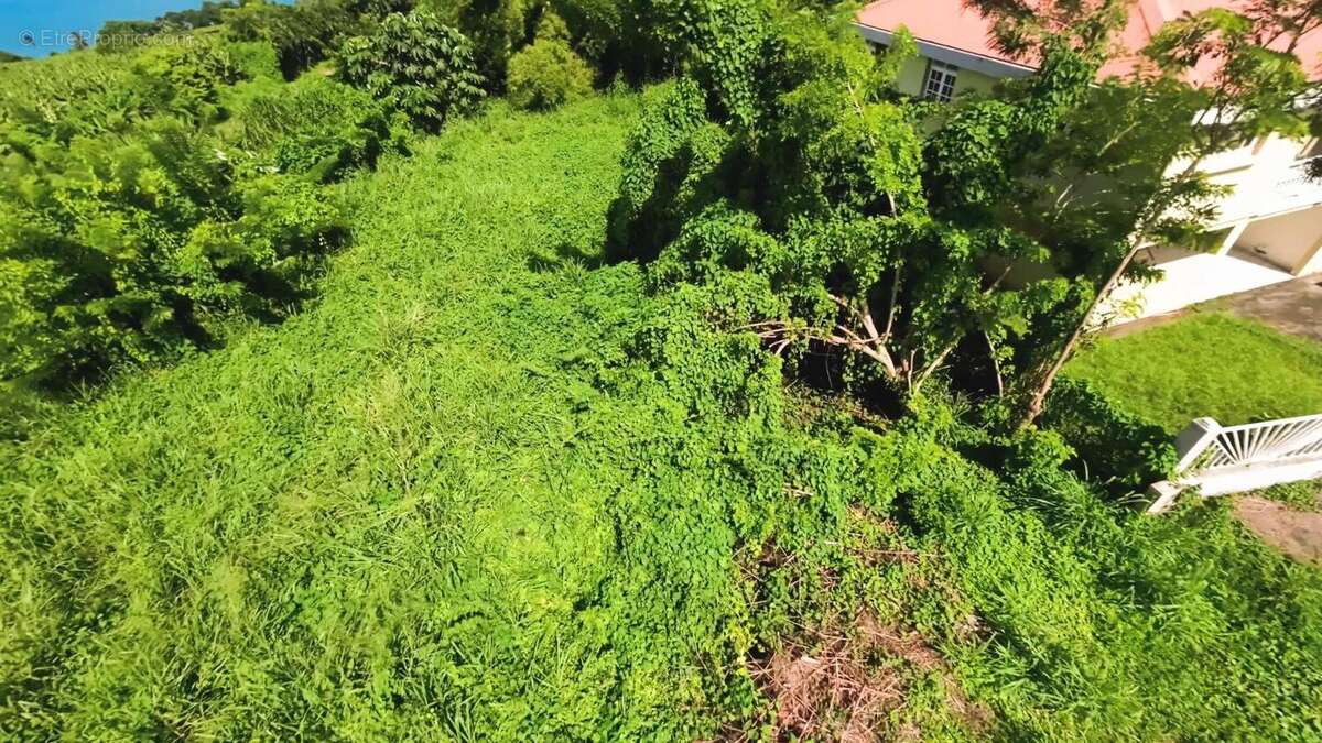 Photo 8 - Terrain à BASSE-POINTE