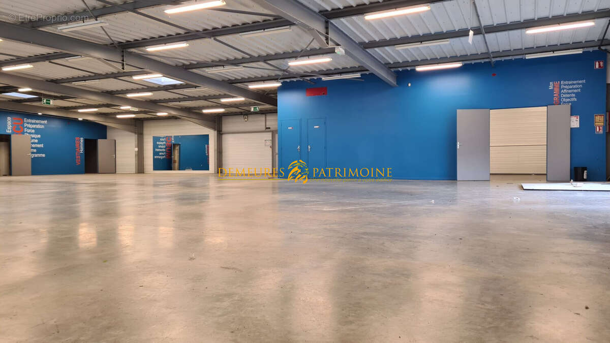 Commerce à CHAMPNIERS