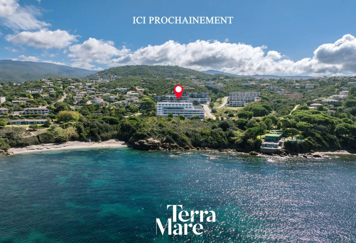 Appartement à PIETROSELLA