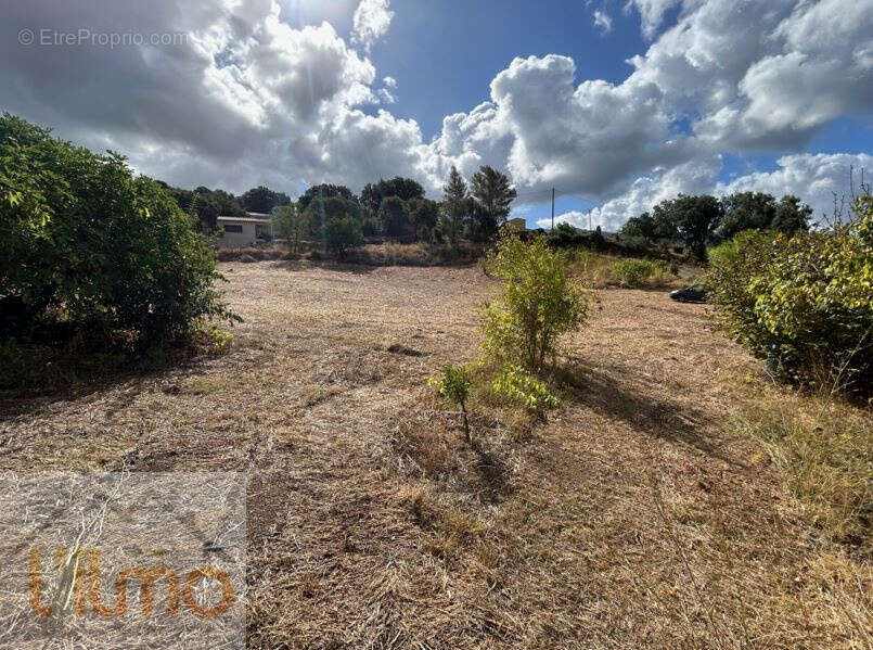 Terrain à PERI