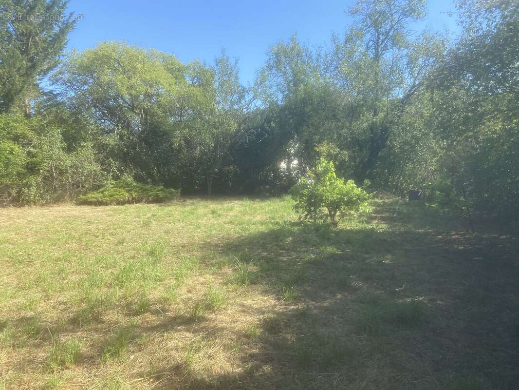 Maison à JOUX-LA-VILLE