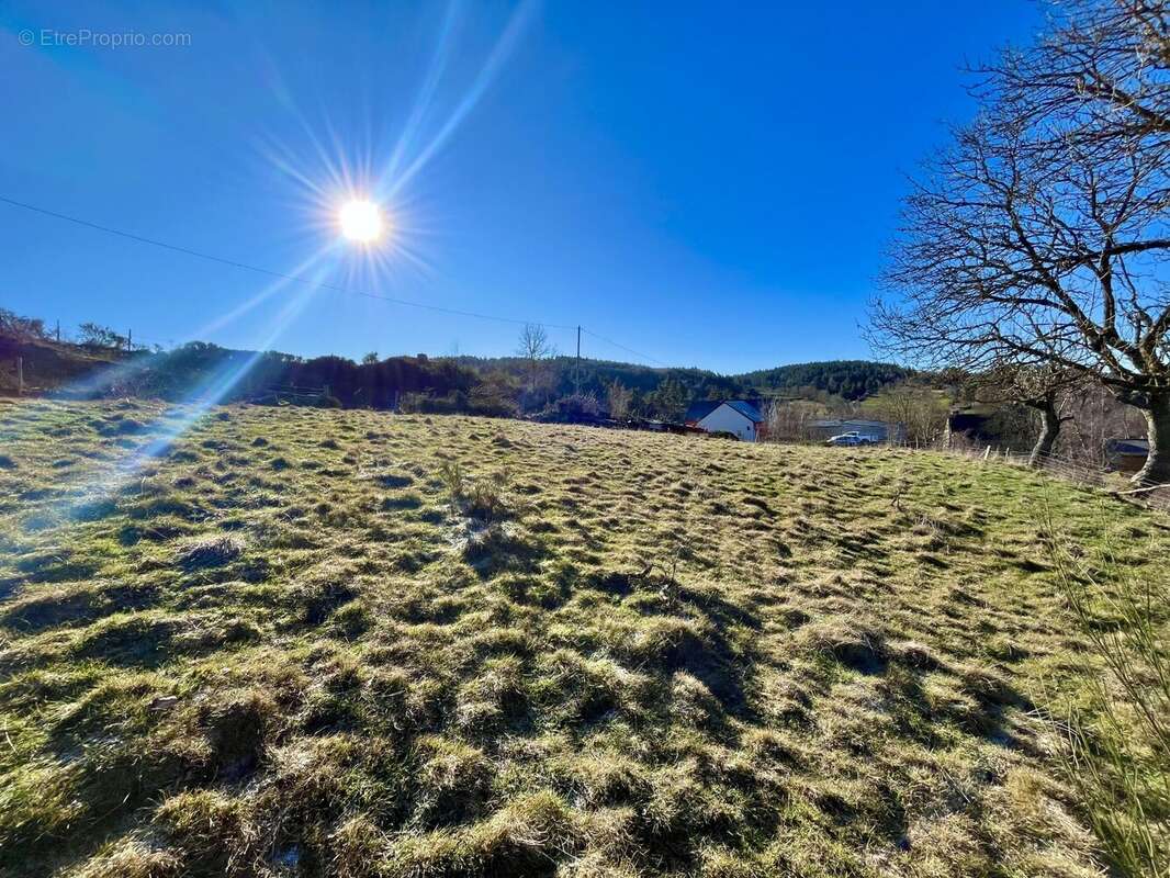 Terrain à LES LAUBIES