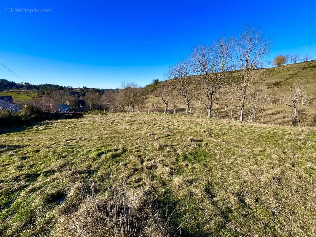 Terrain à LES LAUBIES