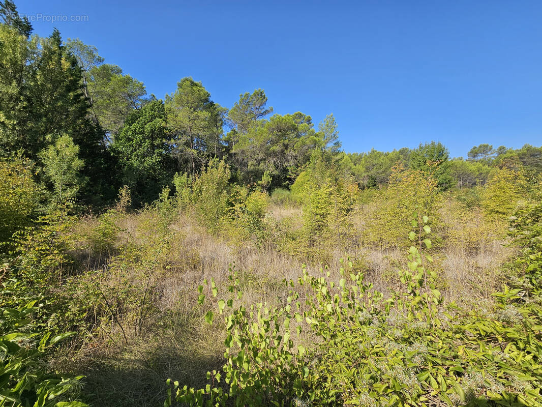 Terrain à PIGNANS