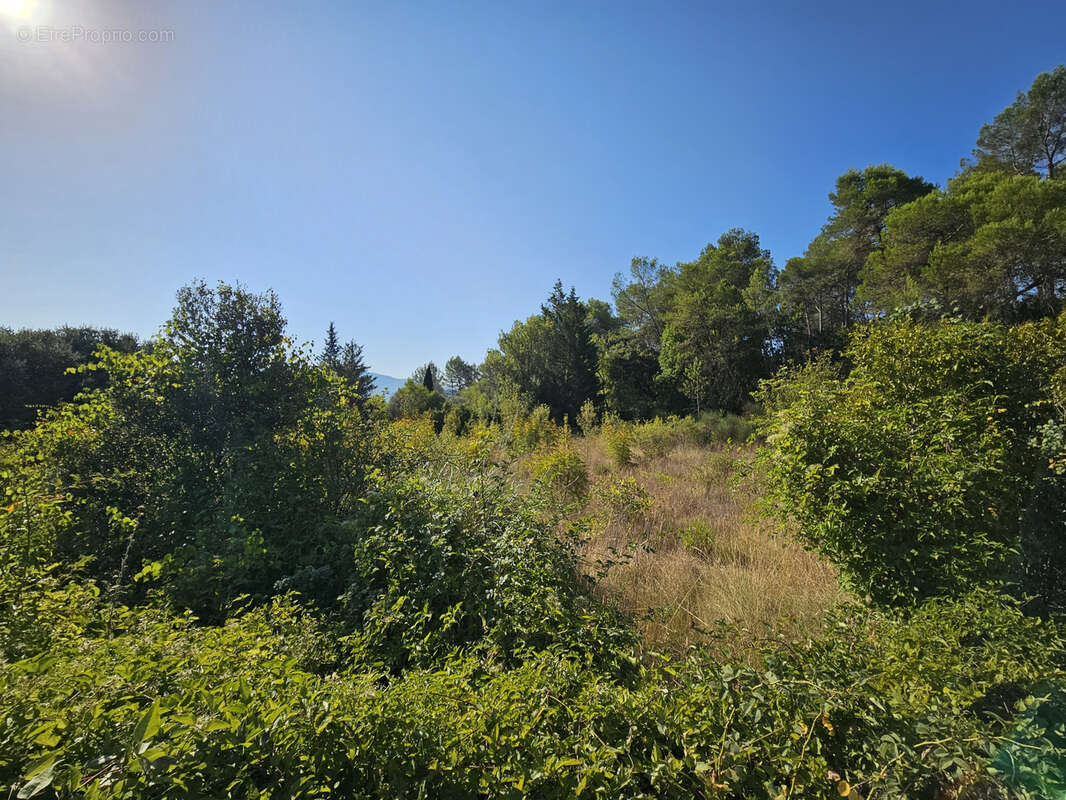 Terrain à PIGNANS