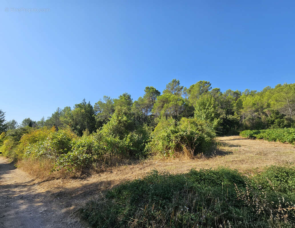 Terrain à PIGNANS