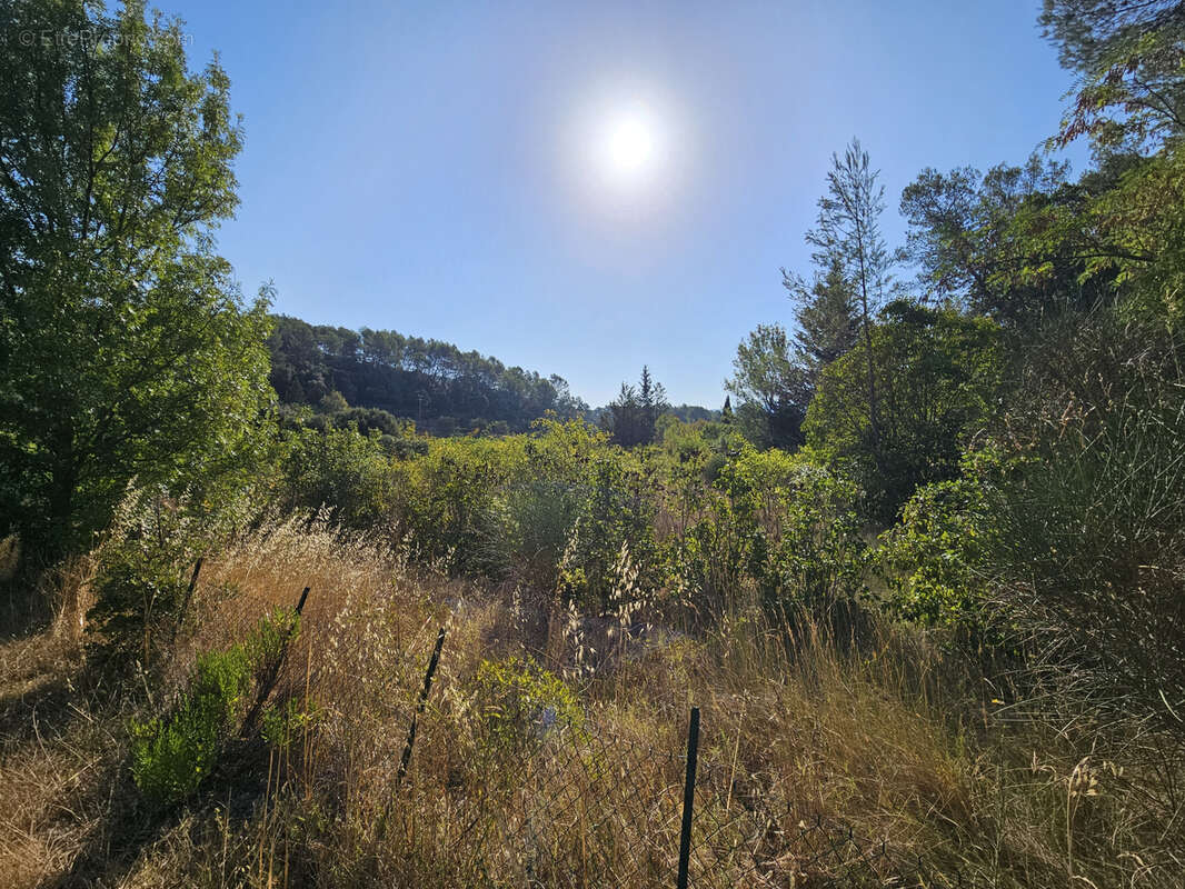 Terrain à PIGNANS