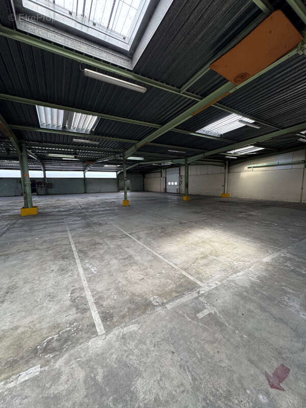 Commerce à SAINT-PAUL-LES-DAX