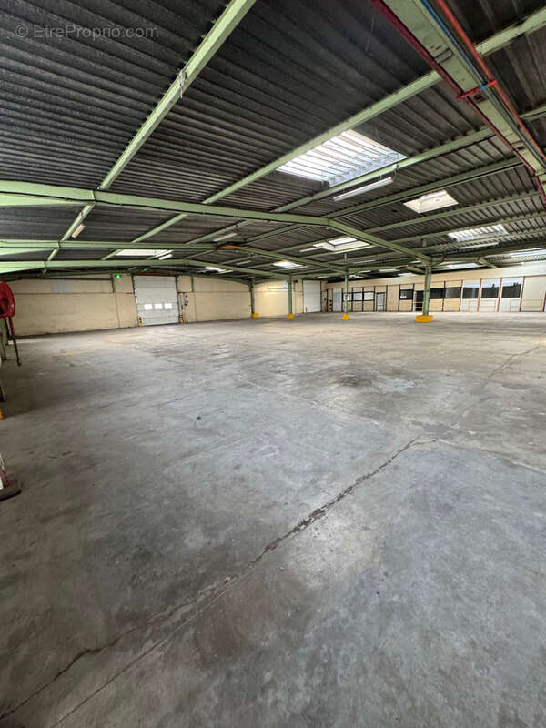 Commerce à SAINT-PAUL-LES-DAX