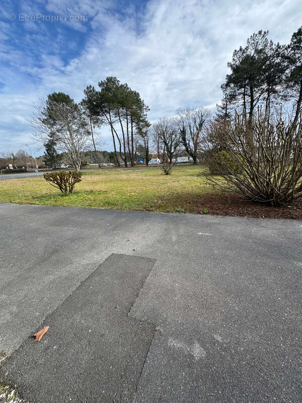 Commerce à SAINT-PAUL-LES-DAX