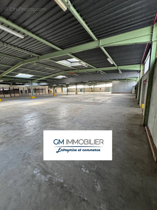 Commerce à SAINT-PAUL-LES-DAX