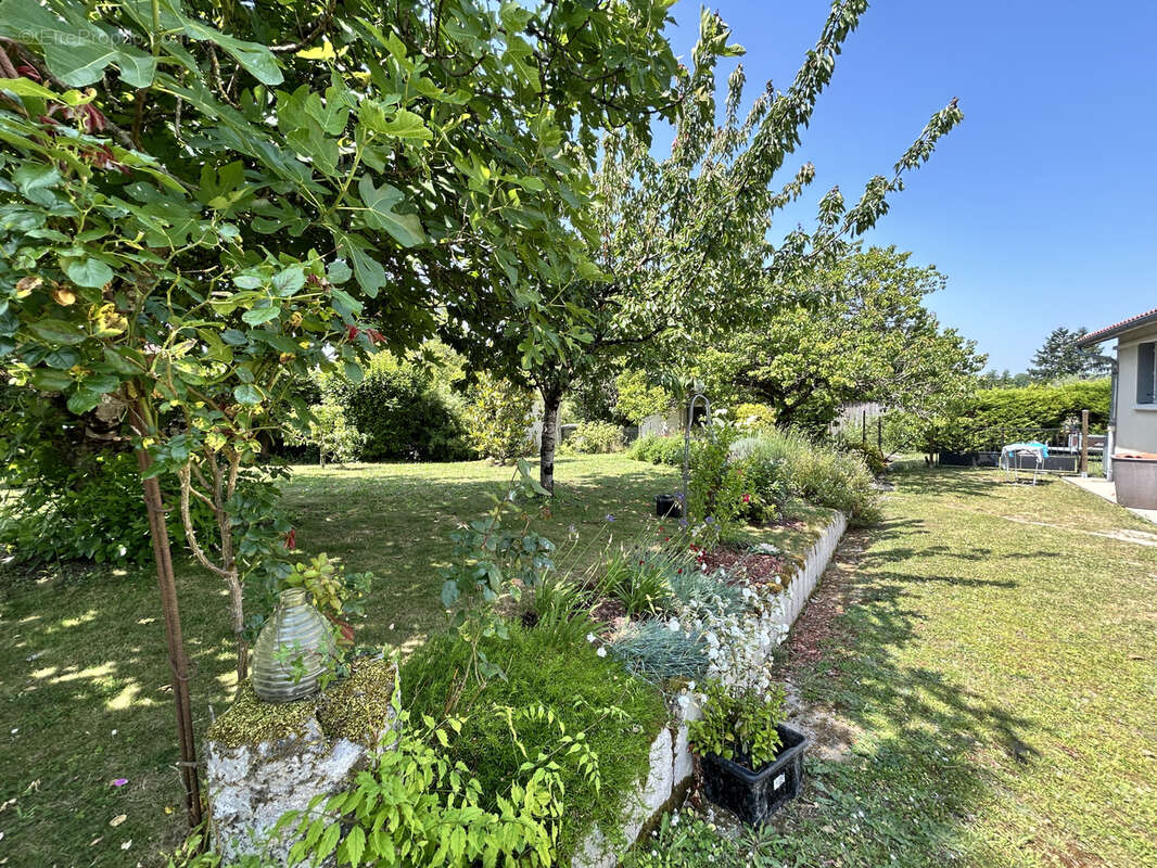 Maison à BARBEZIEUX-SAINT-HILAIRE