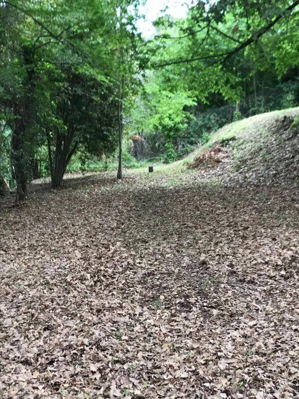 Terrain à LA COLLE-SUR-LOUP