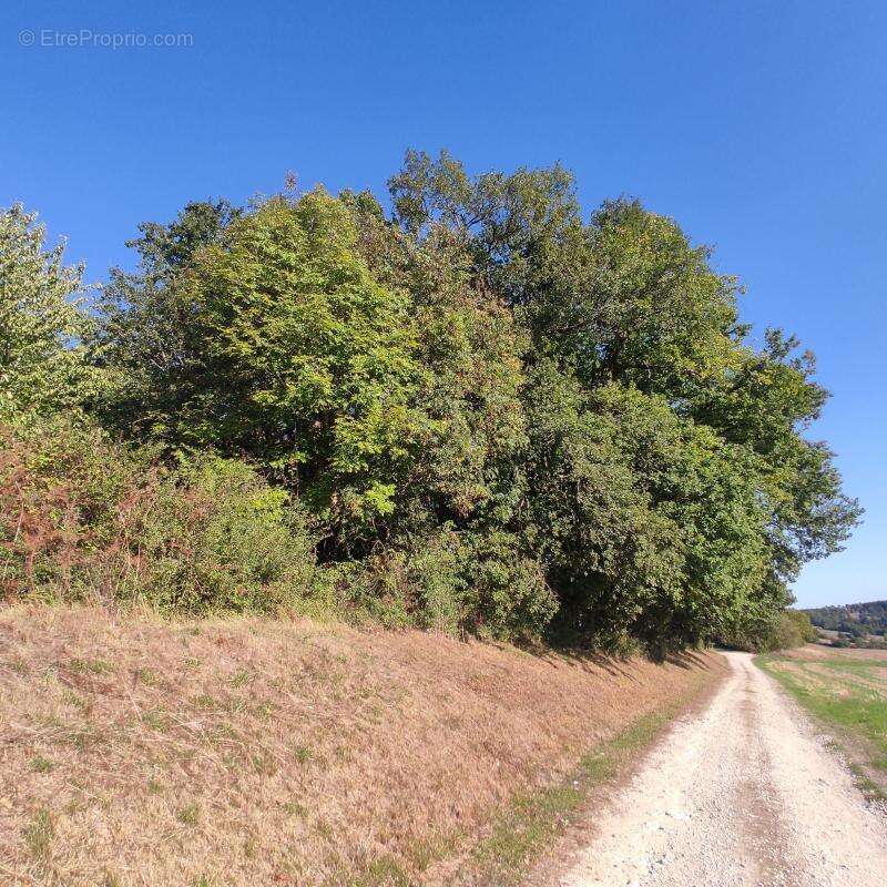 Terrain à SAINT-ASTIER