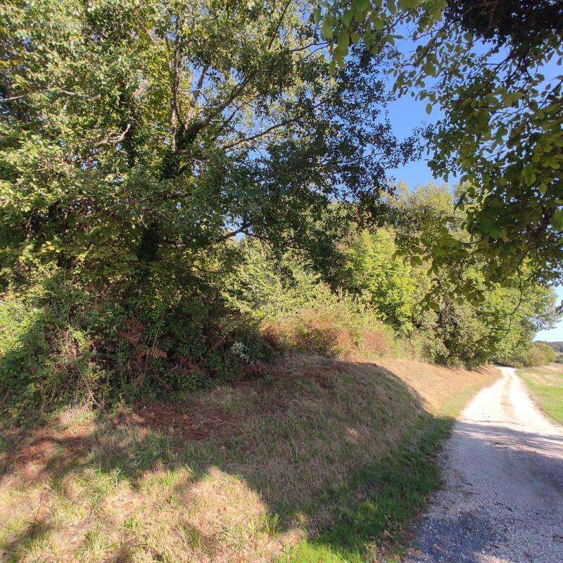 Terrain à SAINT-ASTIER