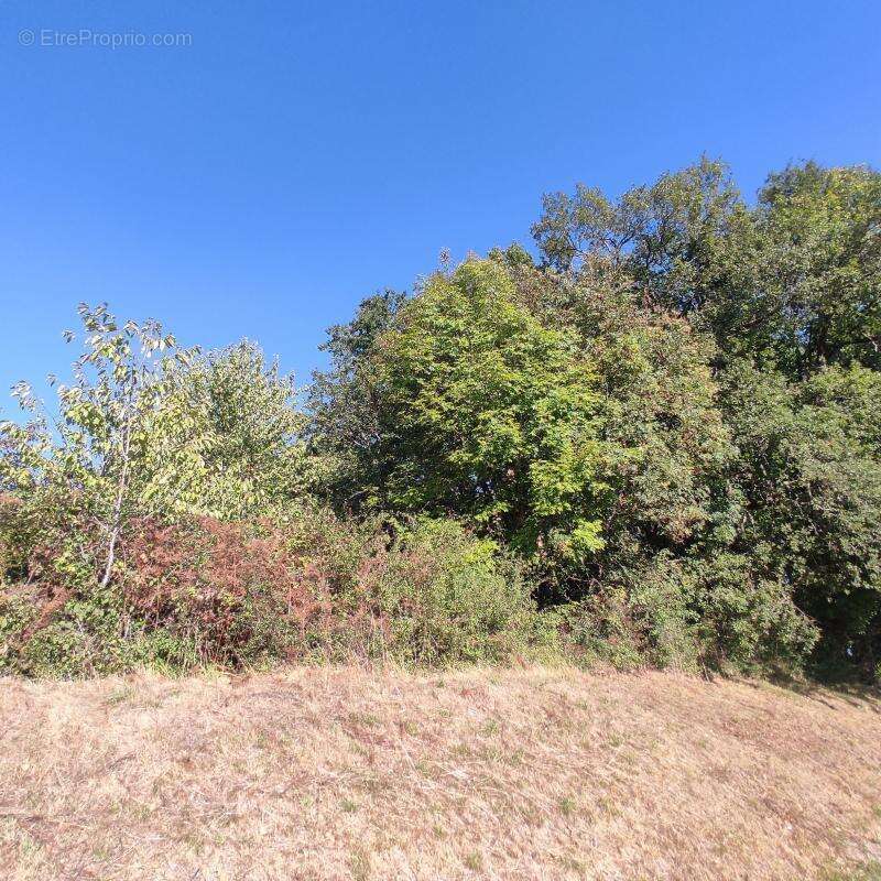 Terrain à SAINT-ASTIER