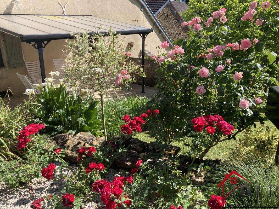 Maison à TOULOUSE-LE-CHATEAU