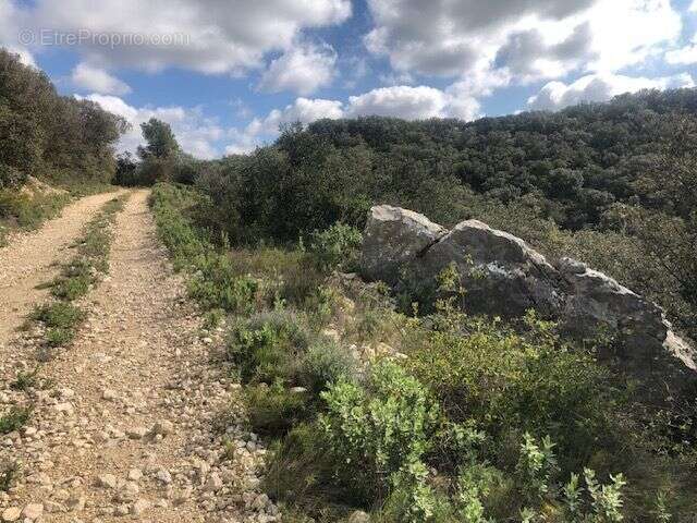 Terrain à SAINT-BONNET-DU-GARD
