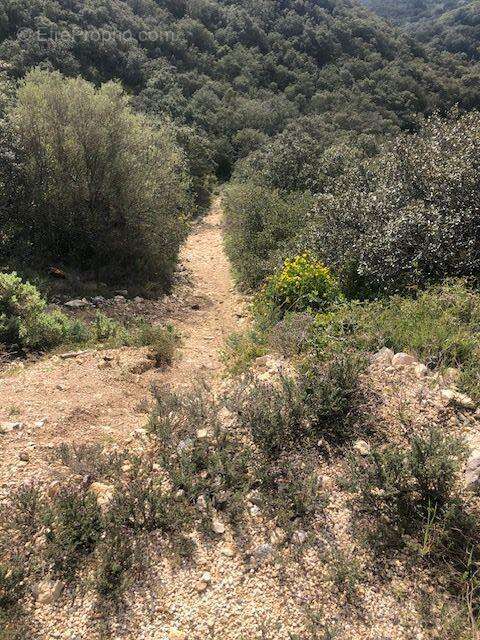 Terrain à SAINT-BONNET-DU-GARD