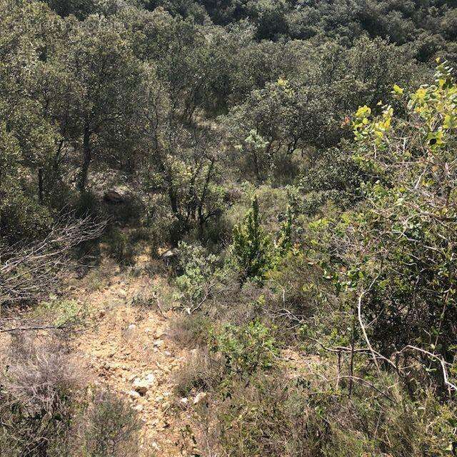 Terrain à SAINT-BONNET-DU-GARD