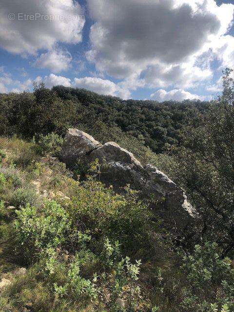 Terrain à SAINT-BONNET-DU-GARD