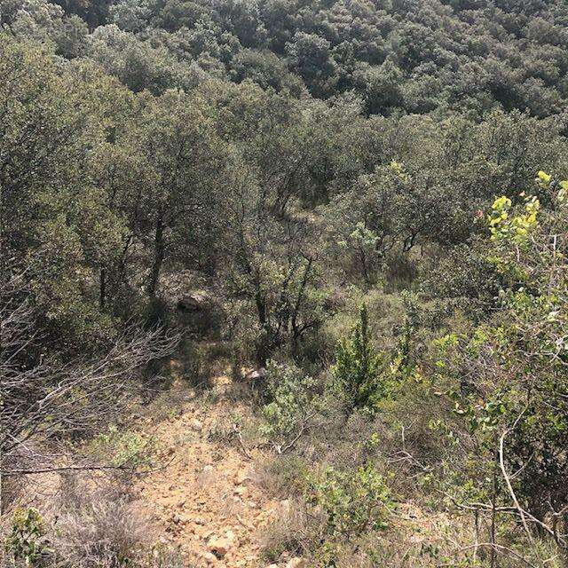 Terrain à SAINT-BONNET-DU-GARD