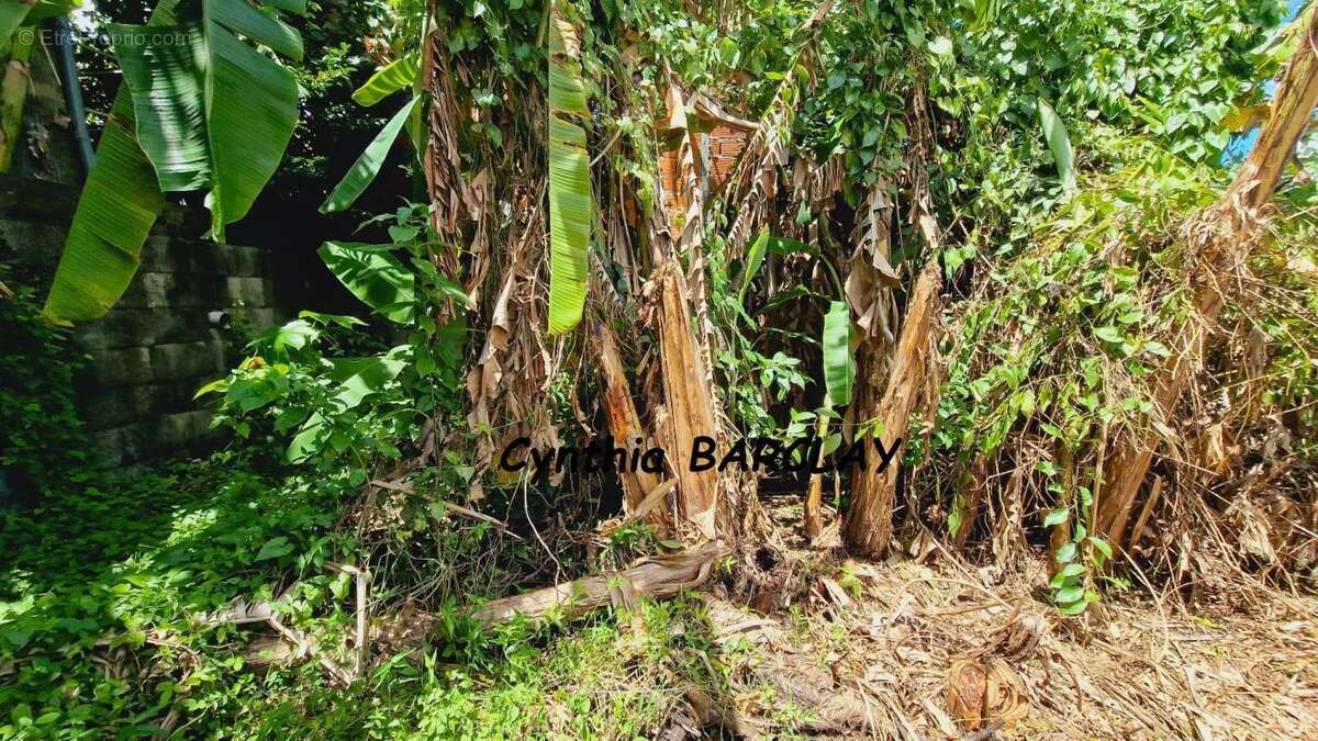 Maison à FORT-DE-FRANCE