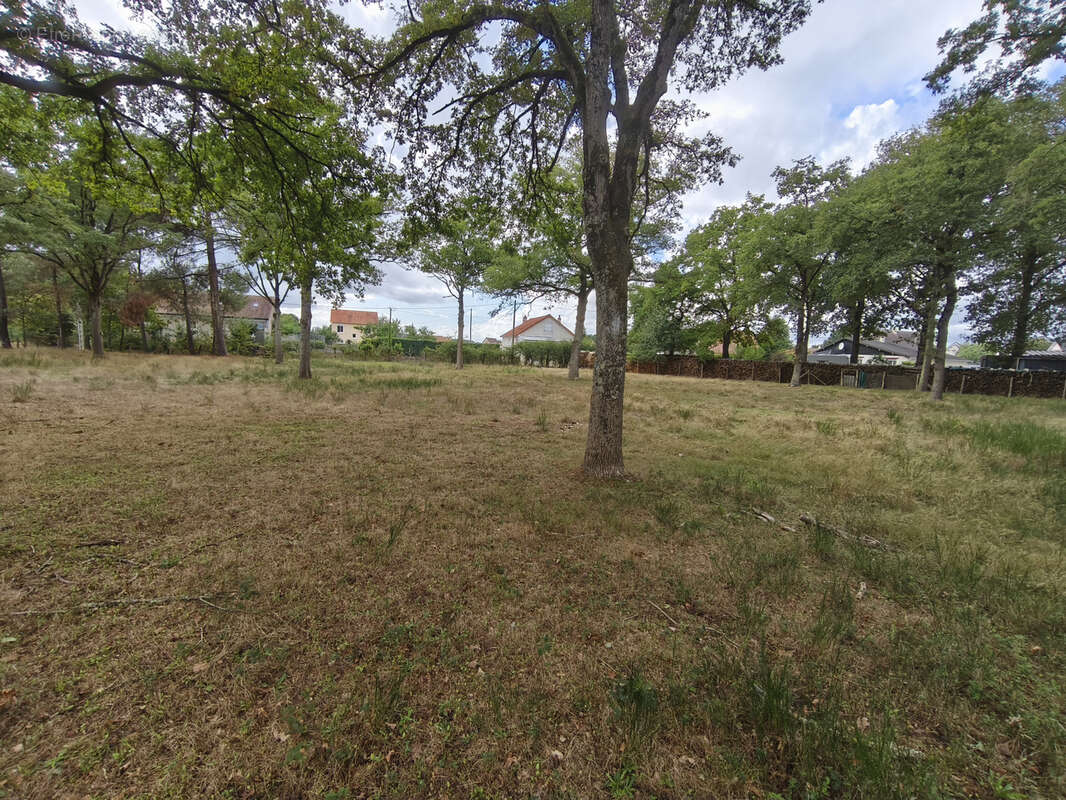 Terrain à LA SUZE-SUR-SARTHE