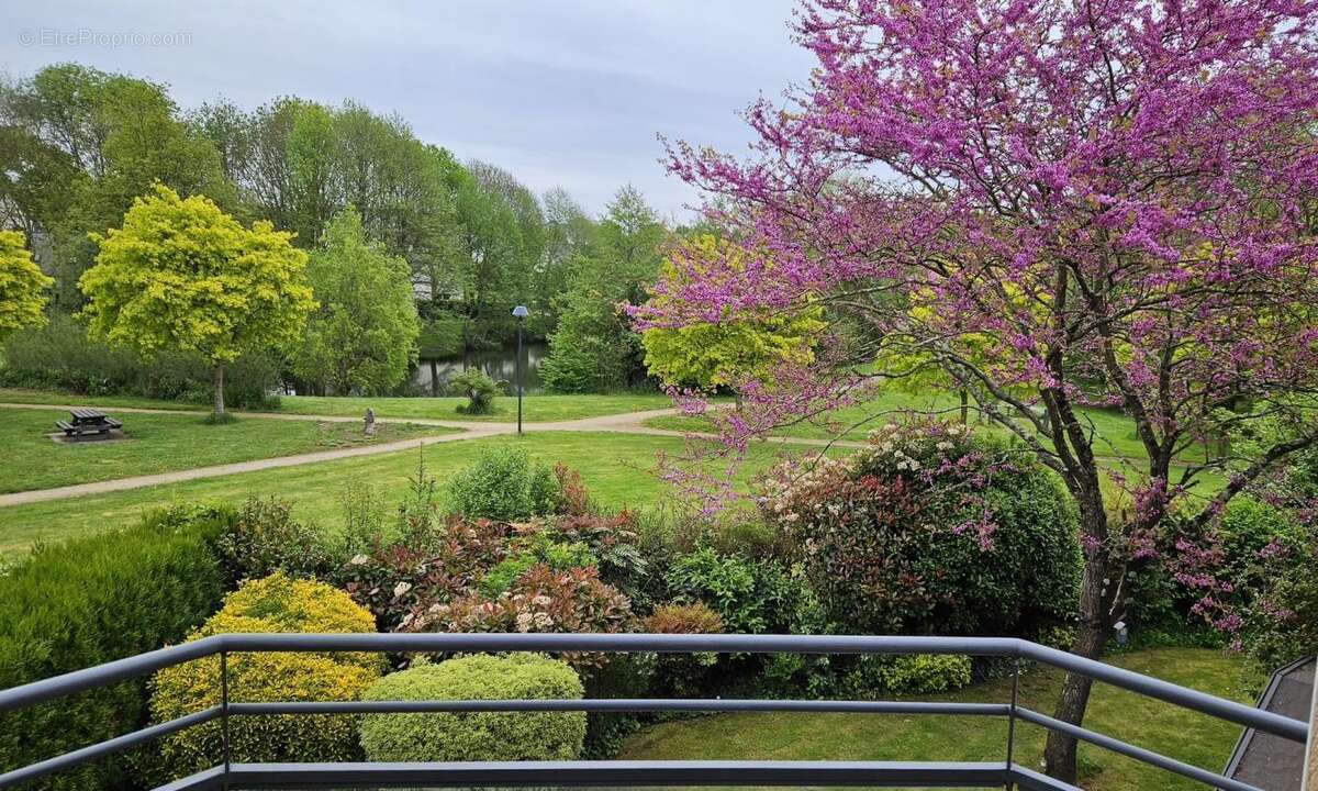 Maison à VERN-SUR-SEICHE