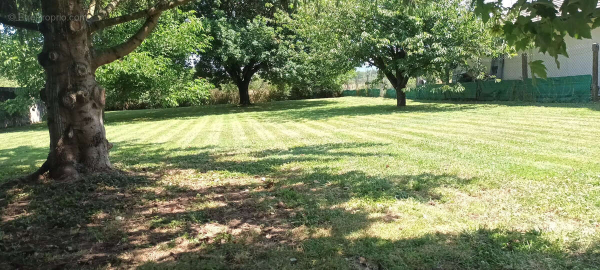 Terrain à SAINT-ROMAIN-DE-JALIONAS
