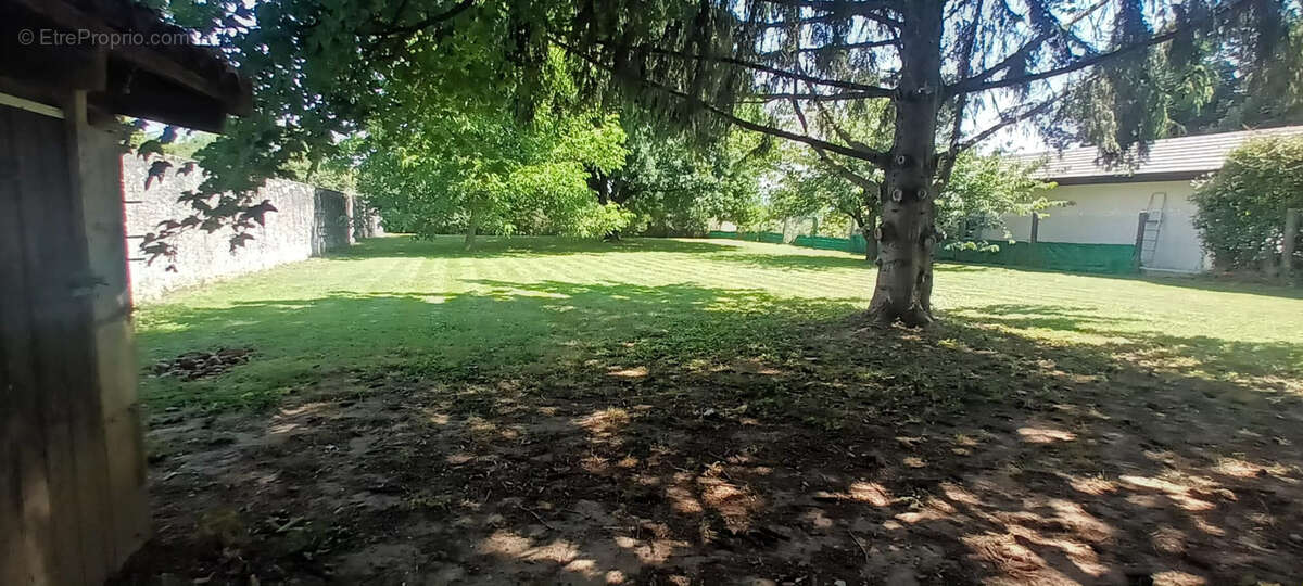 Terrain à SAINT-ROMAIN-DE-JALIONAS