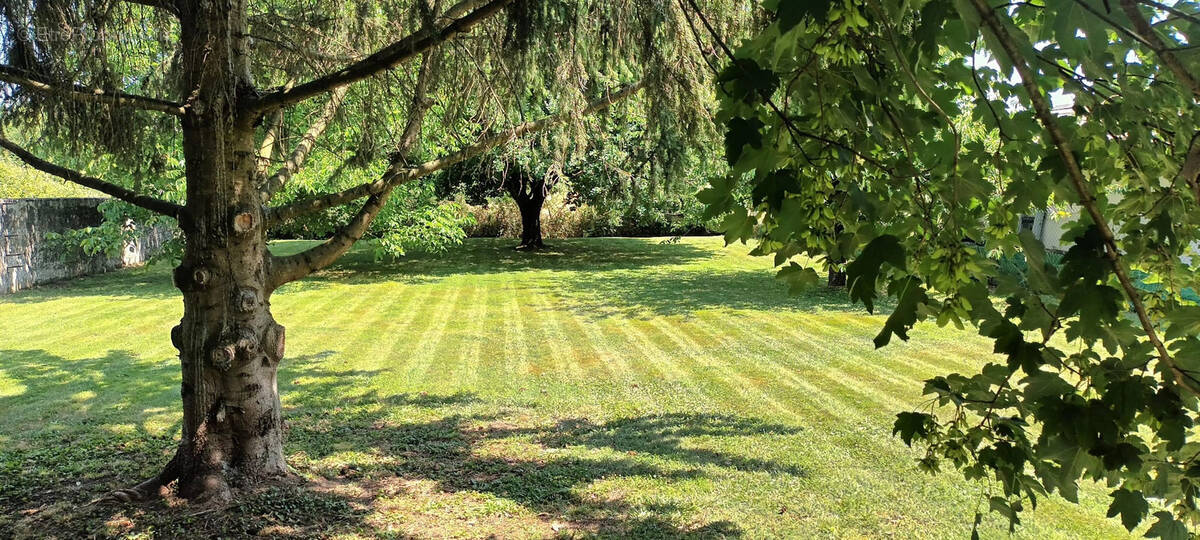 Terrain à SAINT-ROMAIN-DE-JALIONAS