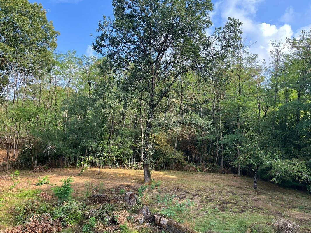 Maison à LABASTIDE-SAINT-PIERRE