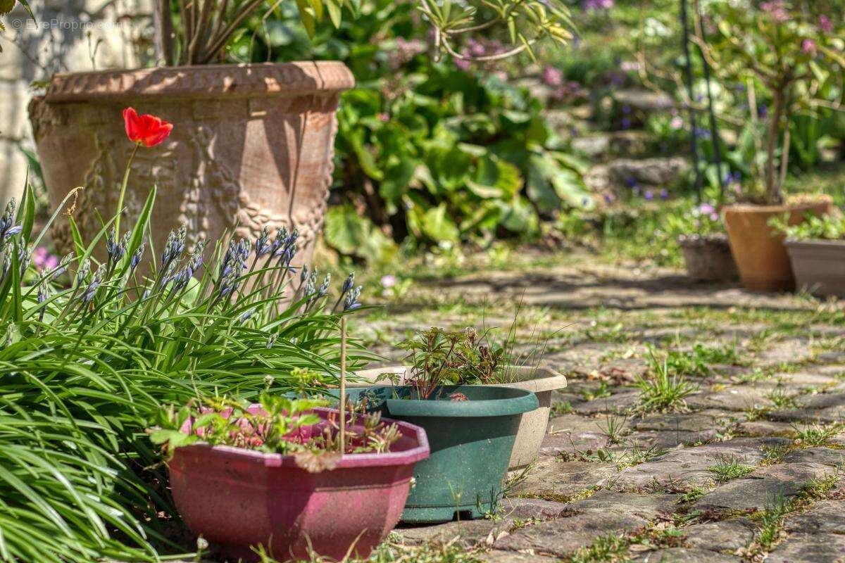 Maison à L&#039;ETANG-LA-VILLE
