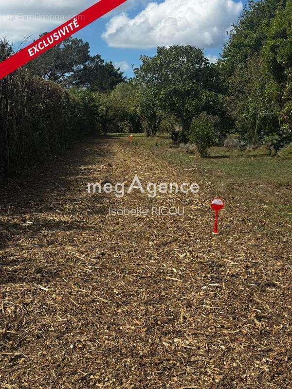 Terrain à DOLUS-D&#039;OLERON