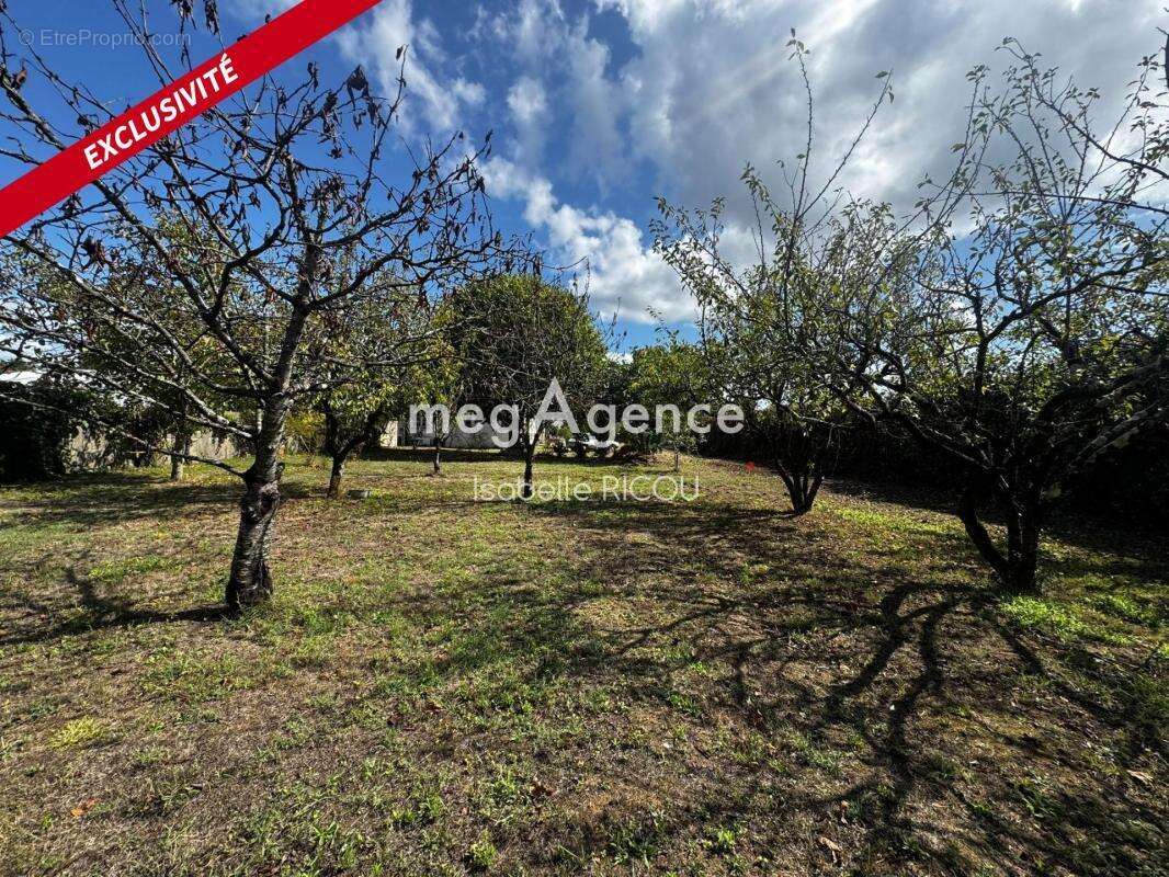 Terrain à DOLUS-D&#039;OLERON
