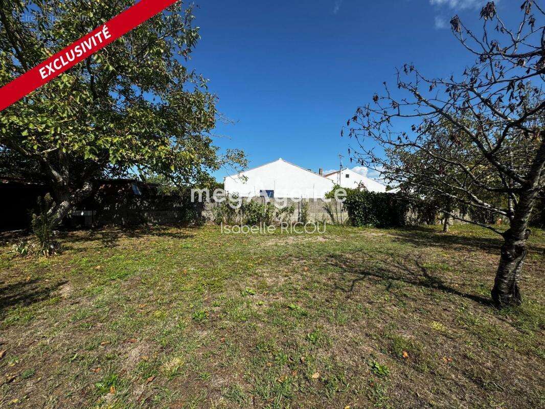 Terrain à DOLUS-D&#039;OLERON