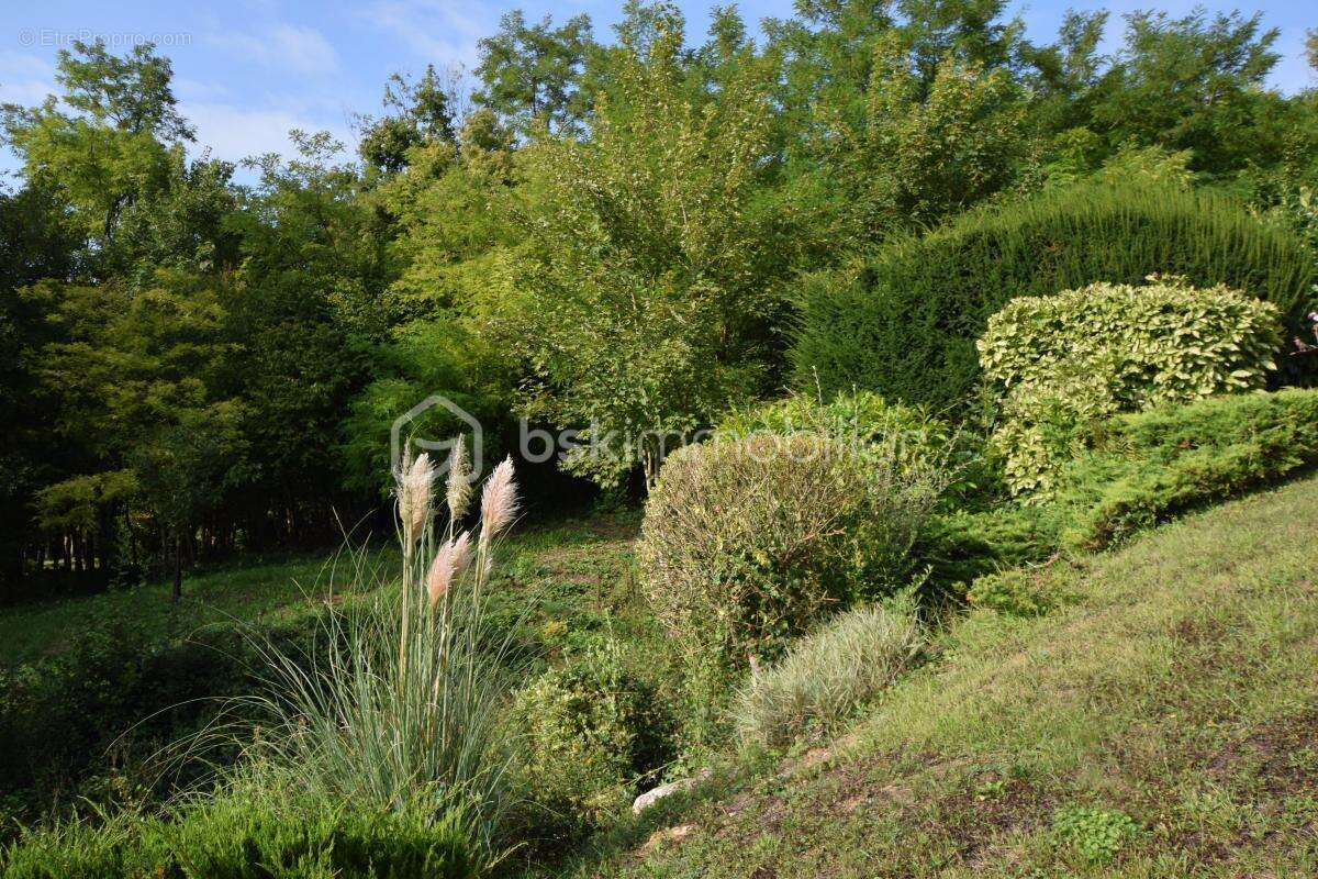 Maison à CRECY-LA-CHAPELLE