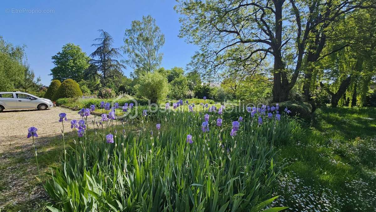 Maison à SAINT-JEAN-DE-BRAYE